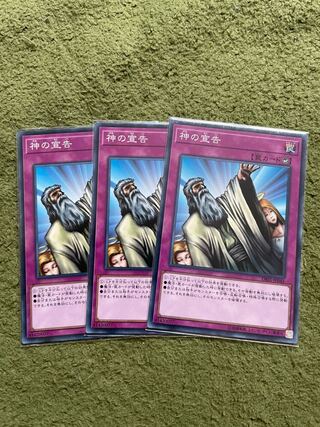 Solemn Judgment Normal JP045 3 copies