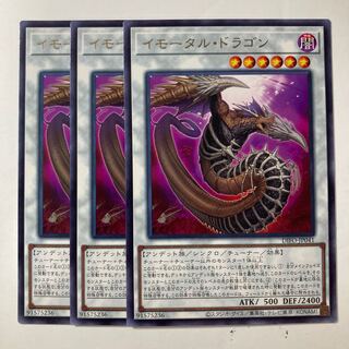 Immortal Dragon ☆8664