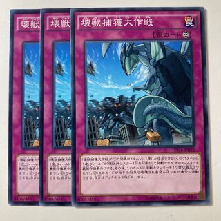 壊獣捕獲大作戦 ☆8671