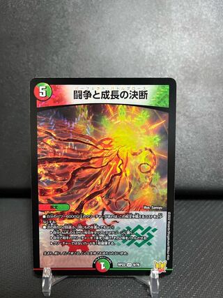 Fighting Conflict and Growth Decision VR 8/76