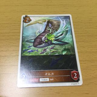 orca (esp. orca, Orcas orca)