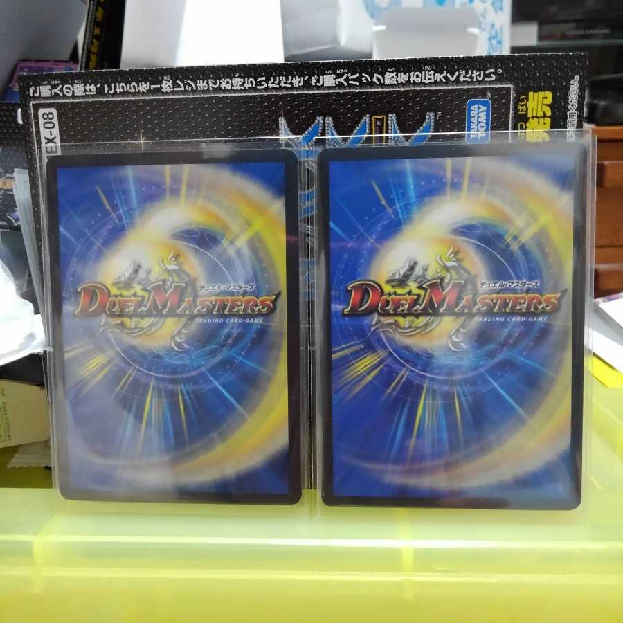 にこっち様専用 1枚