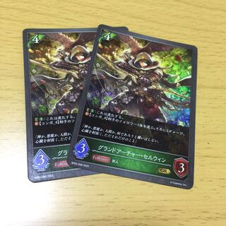 グランドアーチャー・セルウィン