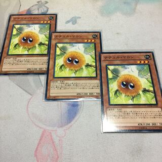 ナチュル・マロン ノーマル JP029 1枚