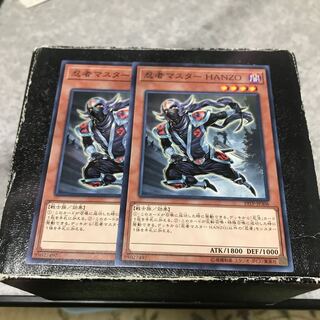 Ninja Grandmaster Hanzo 2 normal