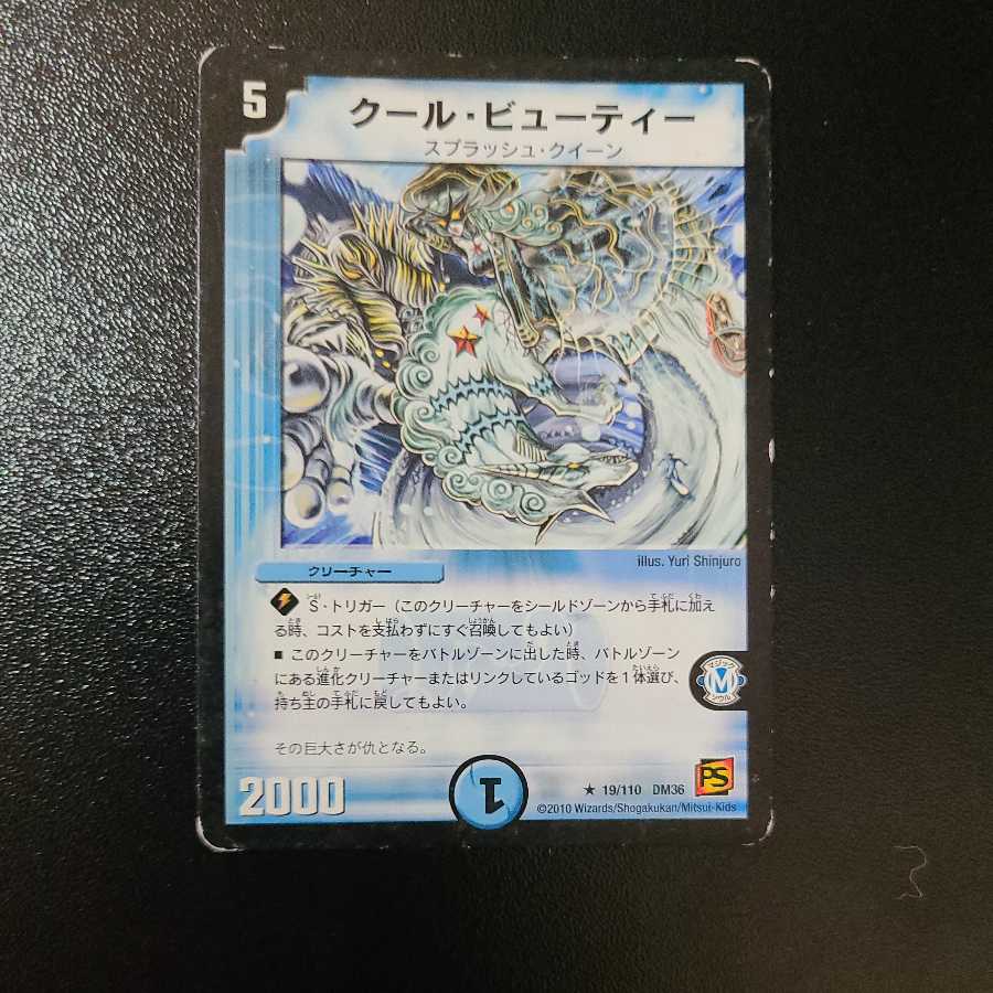 クール・ビューティー