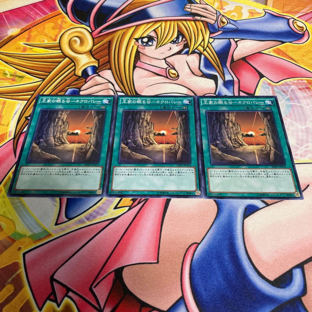 王家の眠る谷-ネクロバレー パラレル ノーマル JP022