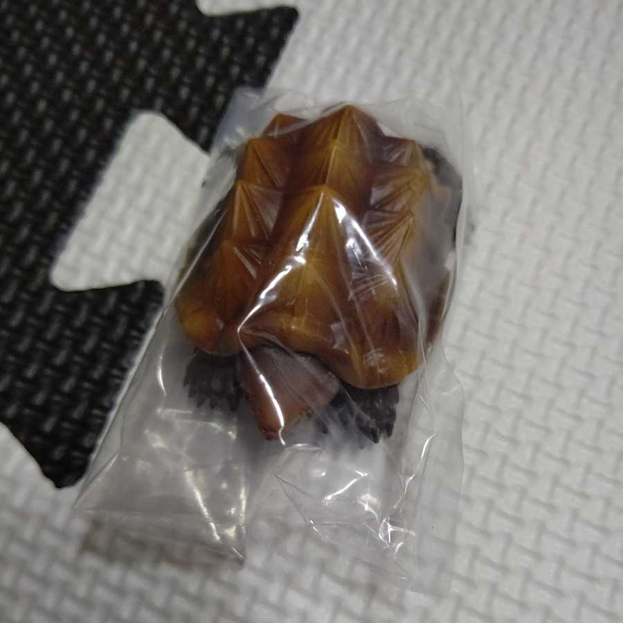 Hazardous Life Encyclopedia Gacha Gator