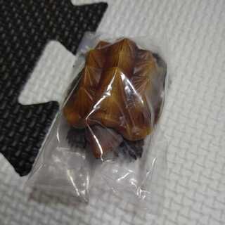 Hazardous Life Encyclopedia Gacha Gator