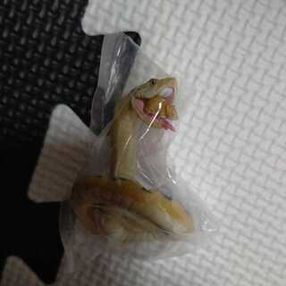 Encyclopedia of Dangerous Life Products Gacha Hub