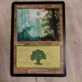 グルランド　森