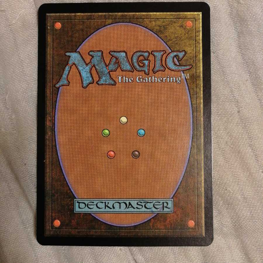 グルランド　森