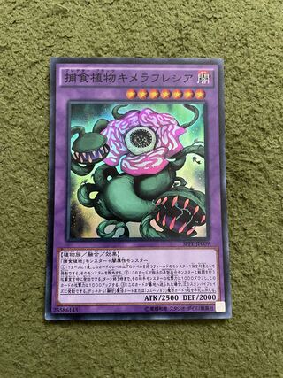 Predaplant Chimerafflesia Super Rare JP009