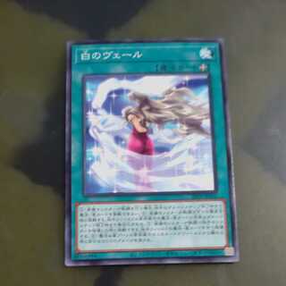 White Veil Normal JP413 [Korindo