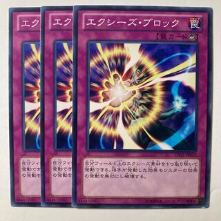 6338 エクシーズ・ブロック ノーマル JP072