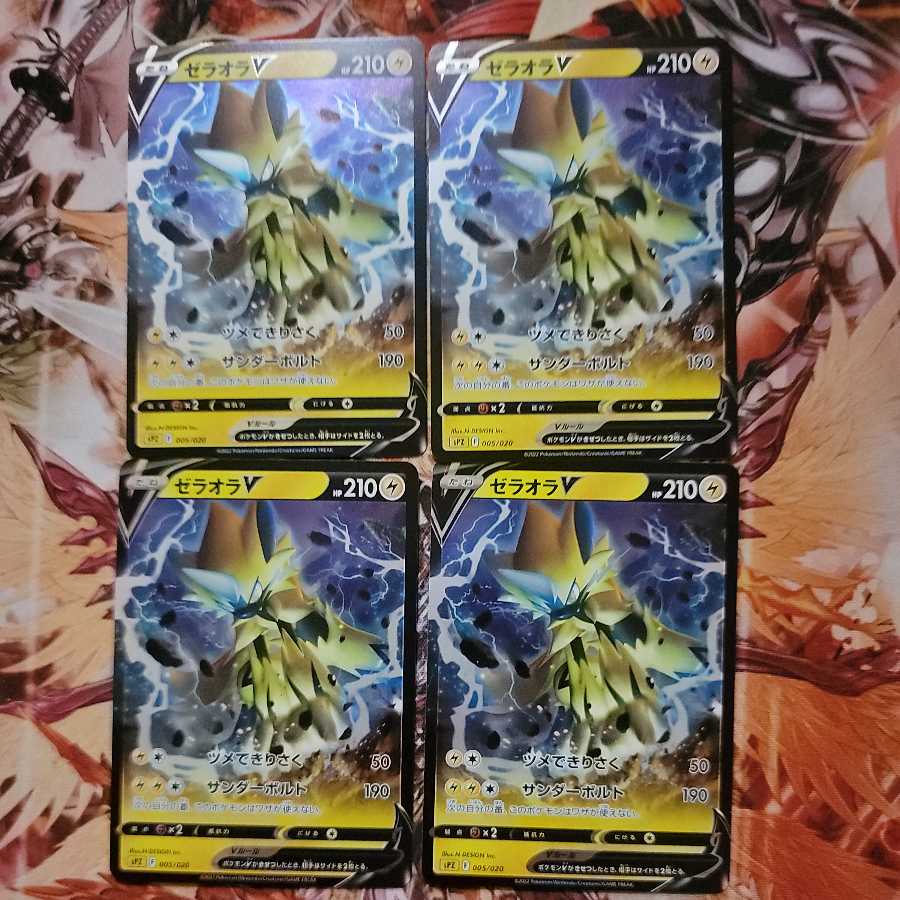 zelaora (Cygnus rotundus)