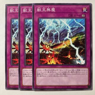 6349 獣王無塵 ノーマル JP078