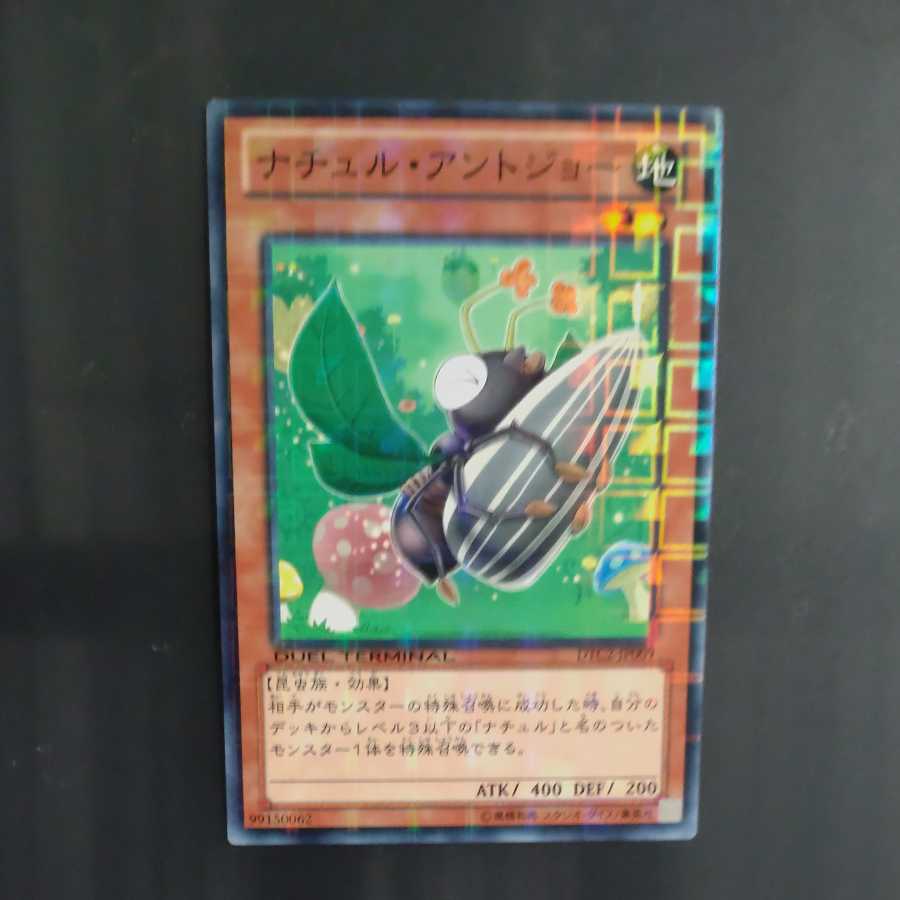 ナチュル・アントジョー ノーマル　JP009  【木林堂】 1枚