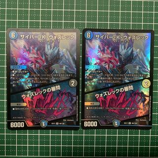 サイバー・K・ウォズレック｜ウォズレックの審問 VR 46/138 ２枚