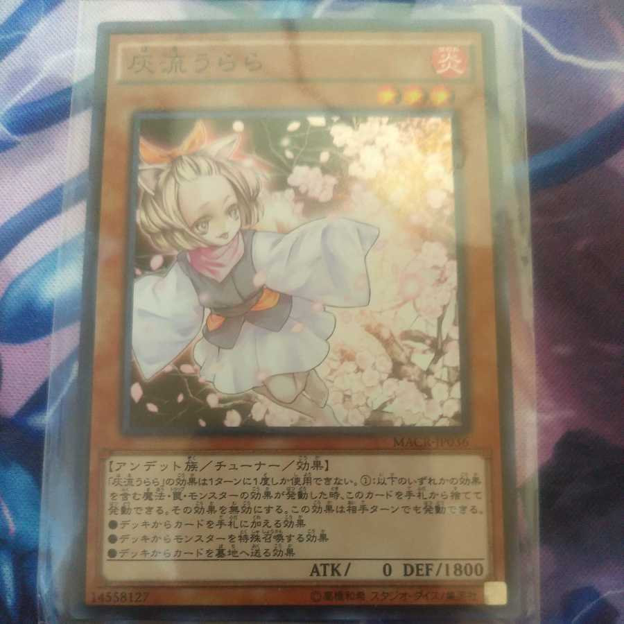 Ash Blossom & Joyous Spring Super Rare MACR-JP036