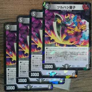 Ornithorhynchus anatinus (species of cyprinid)