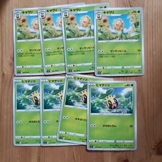 Sunflora Sunkern Sun Sunbeam