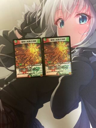 Fighting Conflict and Growth Decision VR 8/76