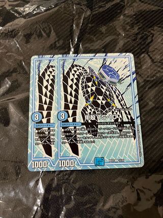 Carapace TS-10 Set of 2