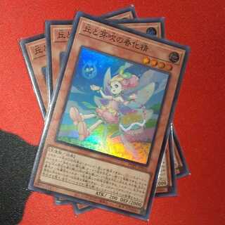 丘と芽吹の春化精 スーパーレア jp016