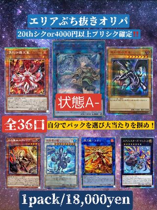 ゲリラ割2口分【即購入可】エリアぶち抜きオリパ【magi公認】 1枚