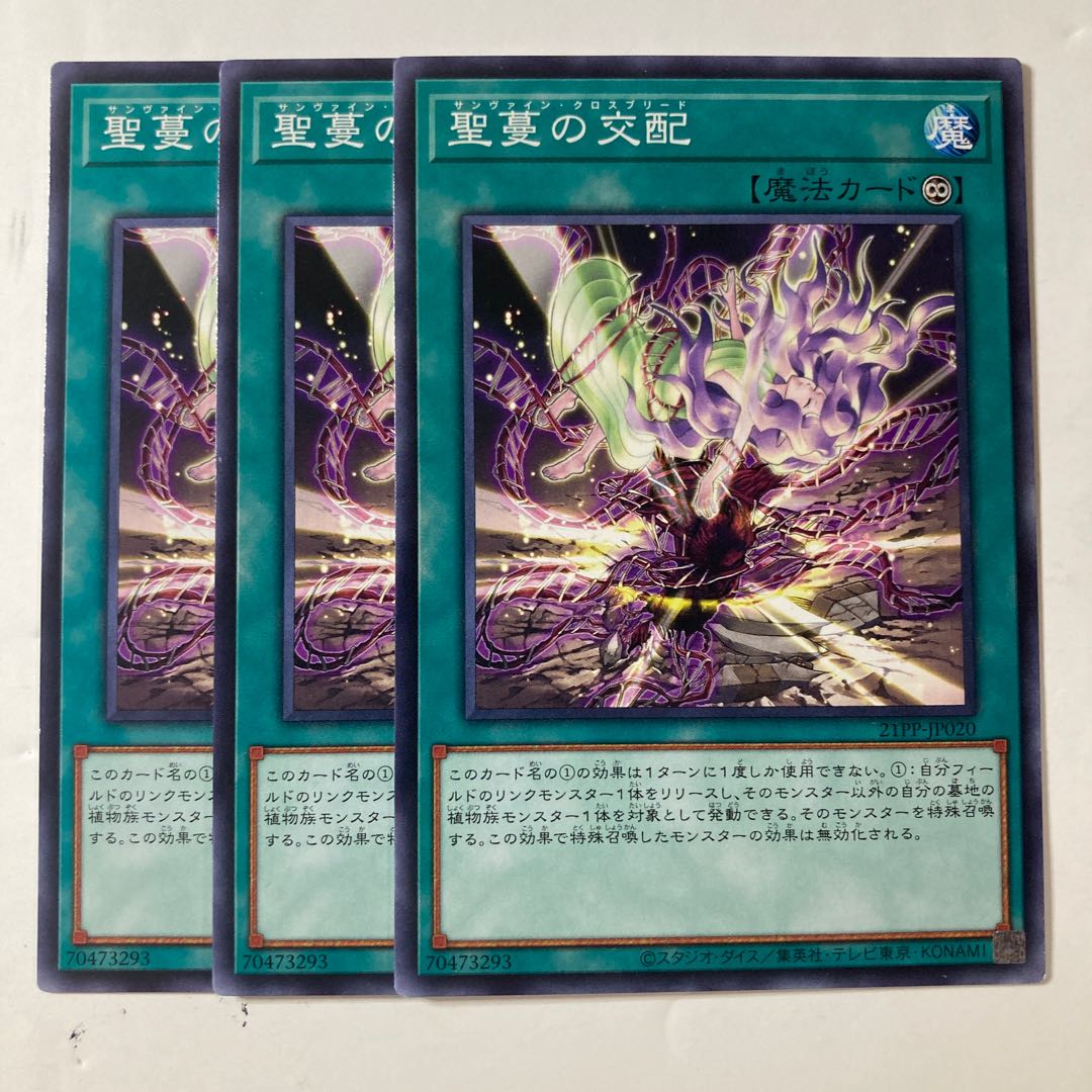 6366 聖蔓の交配 ノーマル 21PP-JP020