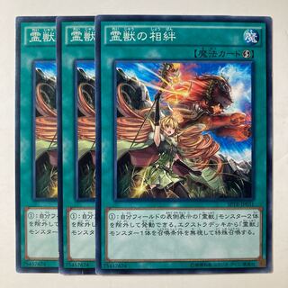 6371 霊獣の相絆 ノーマル JP031