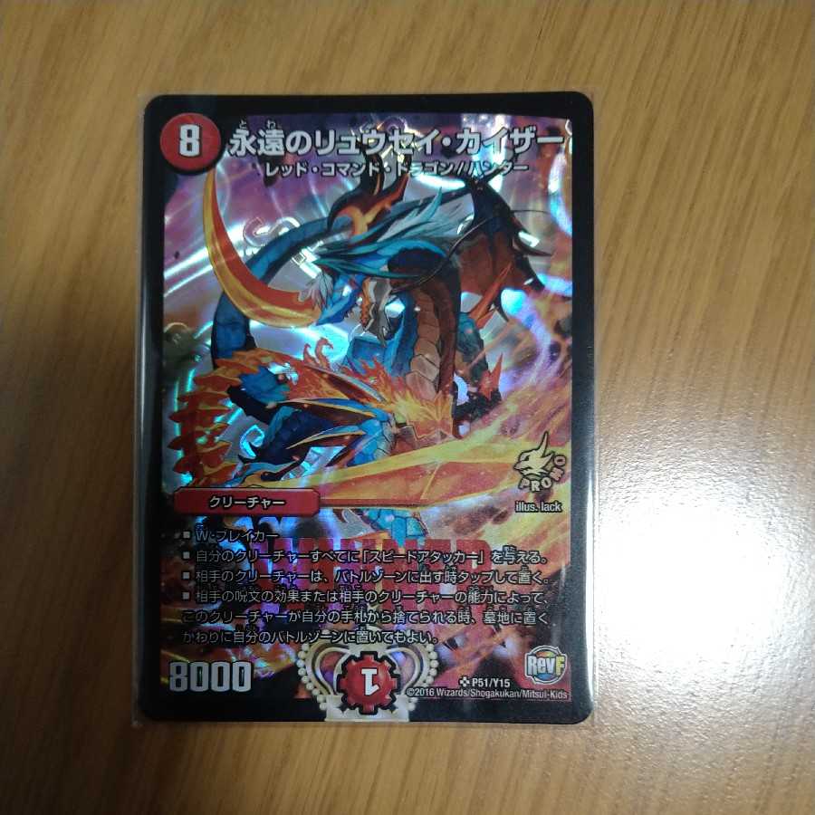 Eternal Ryusei Kaiser