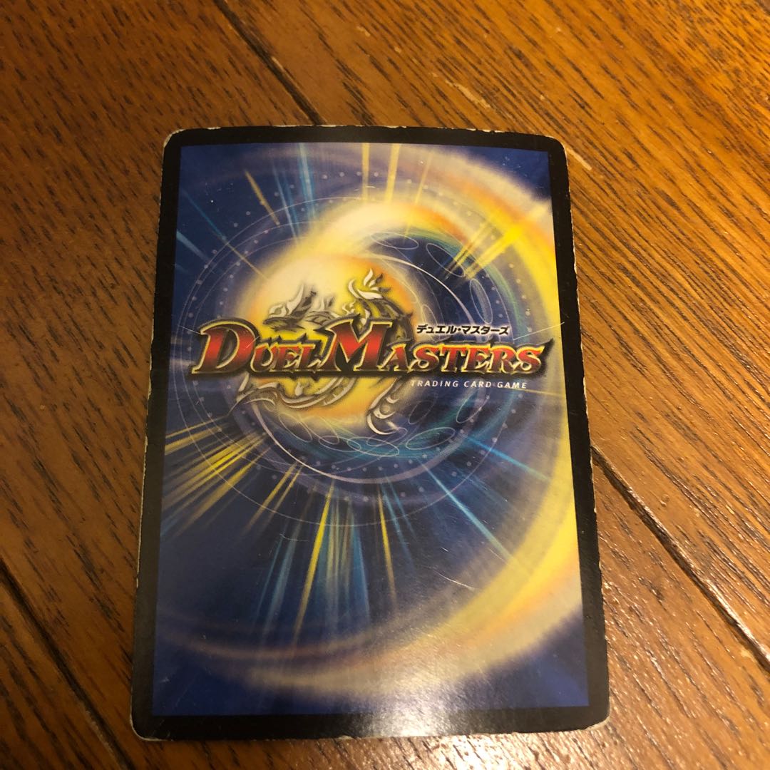 Gayogami SR S1/S10 Junk