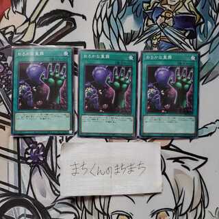 1095 Extra-Foolish Burial 3-piece set