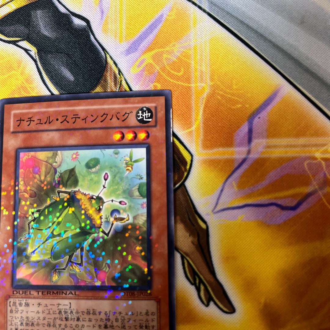 Naturia Stinkbug Normal JP048