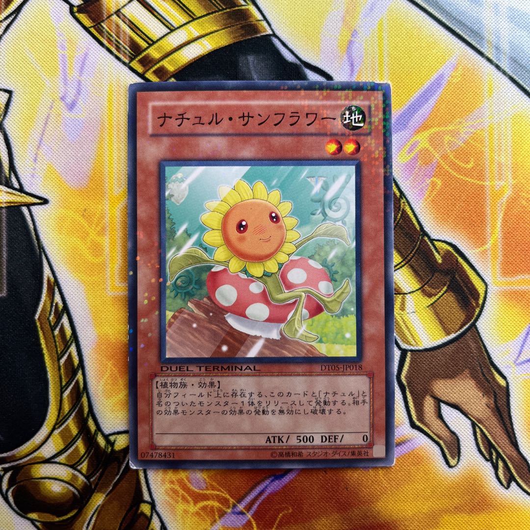 Naturia Sunflower Normal JP018 1枚