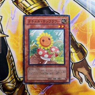 Naturia Sunflower Normal JP018 1枚