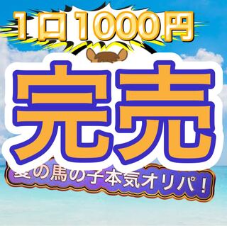 夏の馬の子本気オリパ!(説明事項)