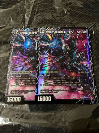 時空の禁断レッドゾーンX/終焉の覚醒者レッドゾーンBSR 2枚セット 2枚