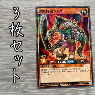 Set of 3 cards, pointed head hunting jaguar, Yu-Gi-Oh Rush Duel.