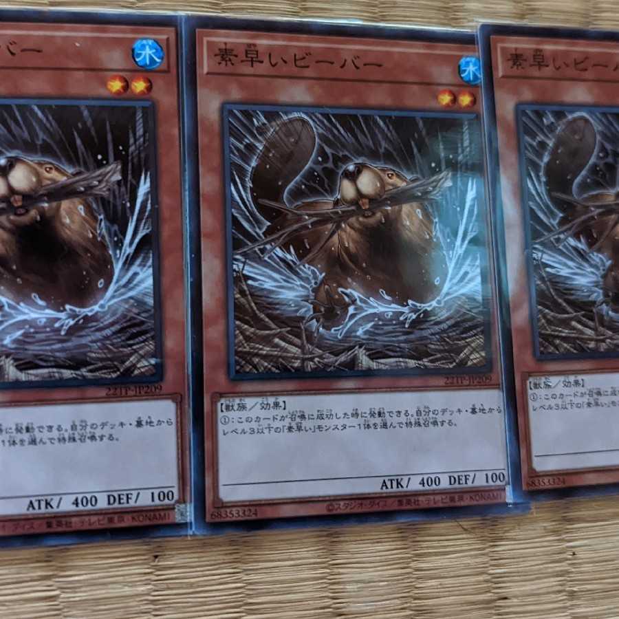 Nimble Beaver 3-piece set