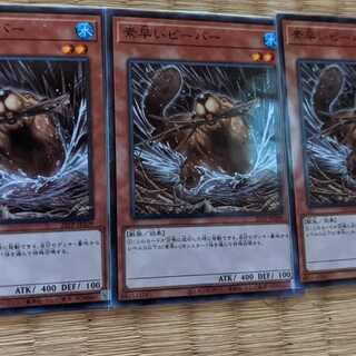 Nimble Beaver 3-piece set