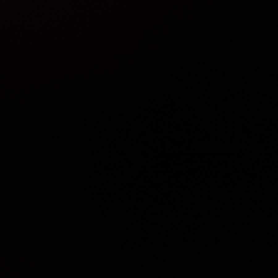 専用 ドンジャングル