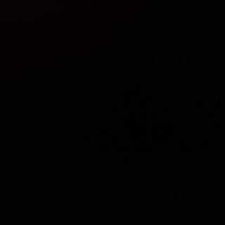 専用 ドンジャングル