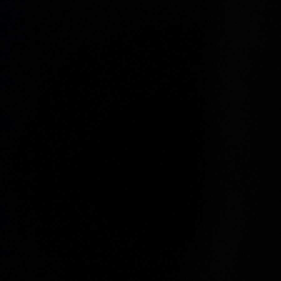 にぃ様専用 1枚