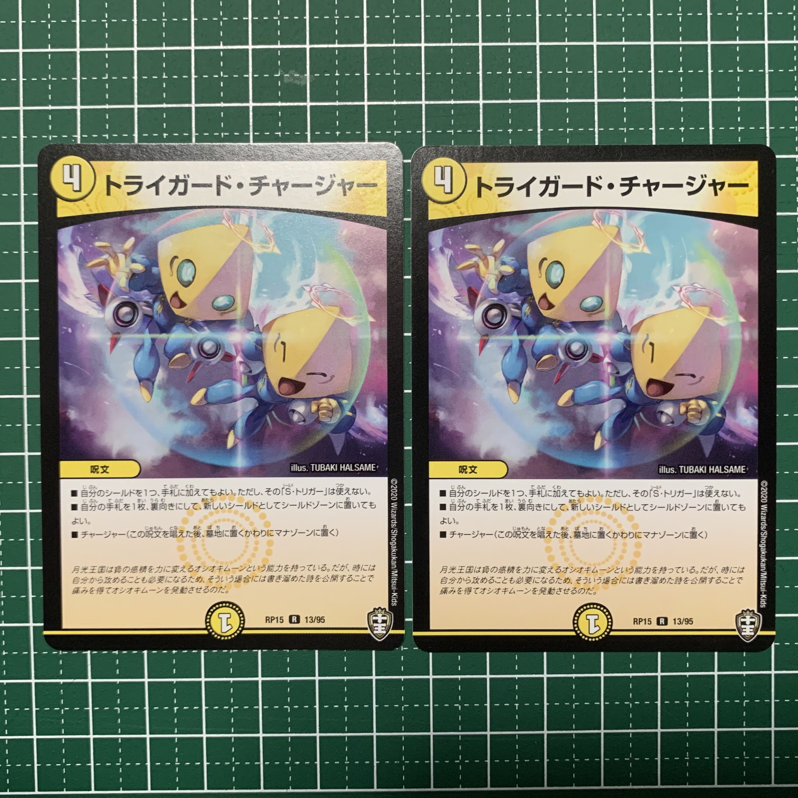 Triguard Charger 16/19 2 pieces