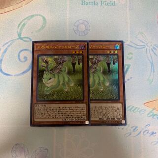 未界域のジャッカロープ 2枚セット