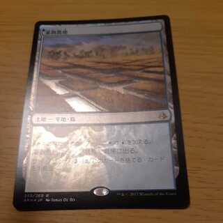 灌漑農地 レア 1枚