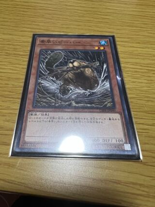 Nimble Beaver Normal rare JP040